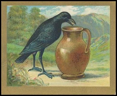 T57 6 The Crow And The Pitcher.jpg